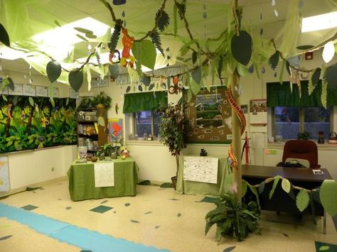 Another view of classroom decorated with Brazil/Rainforest theme: Rainforest Preschool, Rainforest Classroom, Jungle Theme Classroom, Rainforest Theme, America Theme, Classroom Transformation, Classroom Display, Forest Theme, Classroom Design