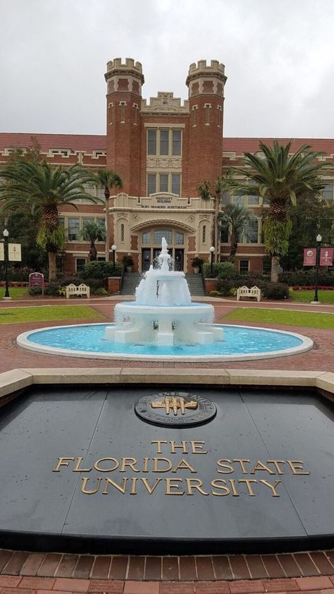 Tallahassee Florida Aesthetic, Fsu College Aesthetic, Florida State University Aesthetic, Fsu Aesthetic, Fsu Logo, Florida University, Colleges In Florida, College Acceptance, College Education