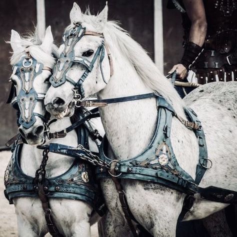 Aesthetic Character Inspiration, Aesthetic Character, Cinderella Aesthetic, Fairytale Aesthetic, Have Courage And Be Kind, Horse Aesthetic, Disney Aesthetic, Princess Aesthetic, Fantasy Aesthetic