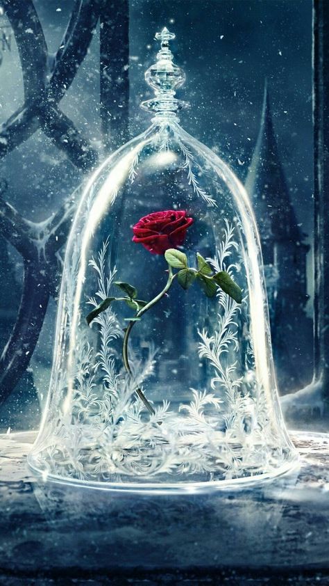 Bella Disney, Beauty And The Beast Wallpaper, Beast Wallpaper, Wallpaper Iphone Disney Princess, Disney Belle, Images Disney, Wallpaper Disney, Disney Background, Princess Wallpaper