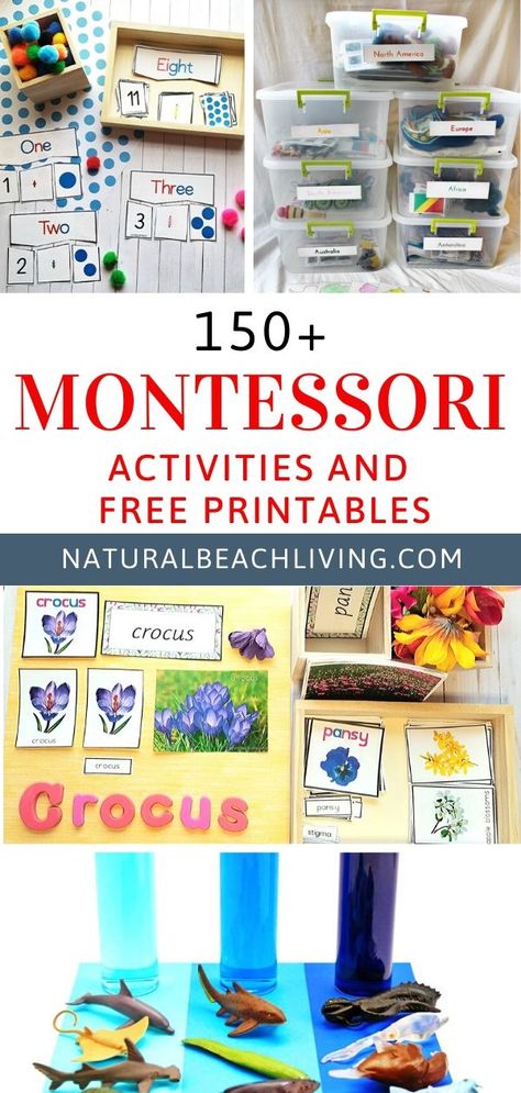 Free Montessori Printables, Montessori Printables Free, Practical Life Montessori, Math Montessori, Montessori Math Activities, Easy Math Activities, Montessori Science, Montessori Geography, Montessori Printables