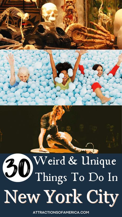 30 Weird and Unique Things To Do in New York City. New York Activities, Things To Do In Nyc, To Do In New York, Cool Things To Do, New York Travel Guide, New York City Travel, Travel Safety, Unusual Things, Cool Things