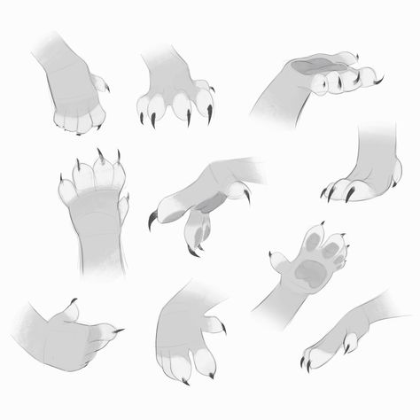 Fox Paw Reference, Paw Hands Reference, Paw Hands Drawing, Paw Drawing Reference, Anthro Paws, Paw Reference, Paw Hands, Paws Drawing, Cat Paw Drawing