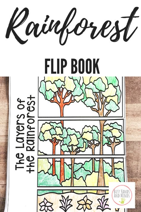 Layers Of The Forest Activity, Layers Of Rainforest Craft, Rainforest Layers Printable, Rainforest Layers Craft, Layers Of The Rainforest Activities, Rainforest Activities 2nd Grade, Layers Of The Rainforest Free Printable, Rainforest Stem Activities, Rainforest Kindergarten