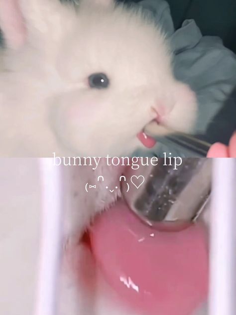 Cruelty Free Bunny Tongue Lip Gloss| The Perfect Pink Lip - Bunny Tongue Lipgloss, Bunny Tounge Gloss, Bunny Toung Lipstick, Bunny Lips Makeup, Bunny Tongue Lip, How To Make Your Lips Pink, Bunny Tongue Lip Gloss, Lip Gloss Tips, Bunny Lips