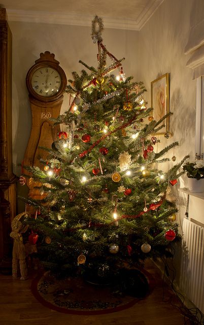 Tree...love this tree! Hungarian Noodles, Sweden Christmas, Holiday Side, Roasted Pork, Prim Christmas, 17 December, Swedish Christmas, Hungarian Recipes, Beautiful Christmas Trees