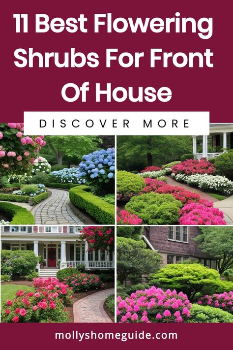 Enhance the curb appeal of your home with these beautiful flowering shrubs for the front yard. From fragrant varieties to low-maintenance options, find the perfect shrub to add vibrant color and charm to your outdoor landscape. Explore our selection of gorgeous flowering shrubs that bloom all year round, creating a stunning display for your sunny front yard. Discover perennial and evergreen options that provide long-lasting blooms, ideal for adding a touch of beauty to your space. Bushes In Front Of House Low Maintenance, Spirea Shrub, Shrubs For Landscaping, Low Growing Shrubs, Types Of Shrubs, Low Maintenance Shrubs, Shade Shrubs, Outdoor Landscape, Butterfly Bush