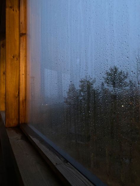 Rainy Day Window Aesthetic, Rainy Woods Aesthetic, Rainy Window Aesthetic, Rainy Mood Aesthetic, Serotonin Aesthetic, Rainy Forest Aesthetic, Rainy Weather Aesthetic, Rainy Aesthetics, Rainy Day Window