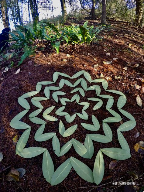 Nature Art Installation, Landart Ideas, Land Art Ideas, Nature Sculpture Art, Nature Art Projects, Earth Altar, Forest Mandala, Art With Nature, Nature Mandalas