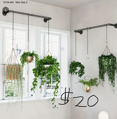 Plants Bay Window, Hanging Plants Indoor, Plants Indoor, Hanging Plant, Bay Window, Hanging Plants, Indoor Plants, Chain, Plants