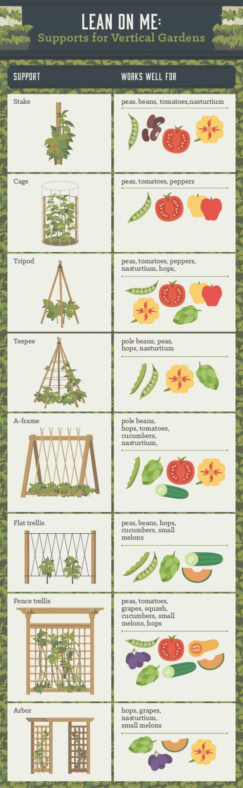 Micro Garden, Soil Type, Vertical Vegetable Garden, Garden Layout Vegetable, Vertical Gardens, Veg Garden, Healthy Garden, Have Inspiration, Home Vegetable Garden