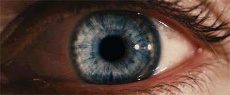 Blinking Eyes Gif, James Dean Daydream, Eyes Gif, I Origins, Creepy Images, Random Gif, Blurred Lines, Gods Eye, Types Of Colours