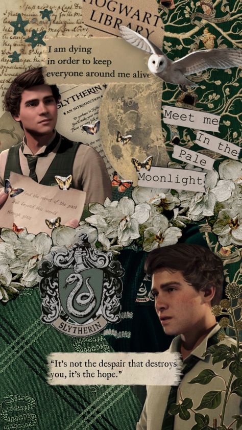 #hogwarts #hogwartslegacy #sebastiansallow #slytherin 🐍⚡️ Harry Potter Sketch, Sebastian Sallow, Hogwarts Legacy, Hogwarts Aesthetic, Hogwarts Mystery, Hogwarts School, Harry Potter Obsession, Mischief Managed, Harry Potter Universal