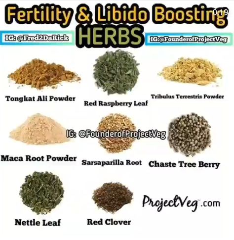 Herbs For Fertility, Dr Sebi Recipes Alkaline Diet, Herbal Tea Benefits, Chaste Tree, Herbal Steam, Medical Herbs, Fertility Health, Ayurvedic Healing, Healthy Hormones