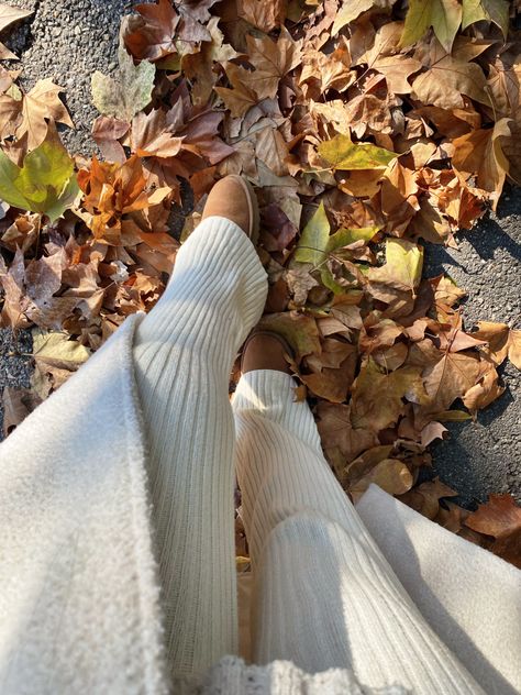 Comfy girl era ugg season knot pants autumn leaves Ugg Season, Filler Pics, Cute Uggs, Story Insta, Love At First Sight, Photo Instagram, Autumn Leaves, Women Fashion, Knot