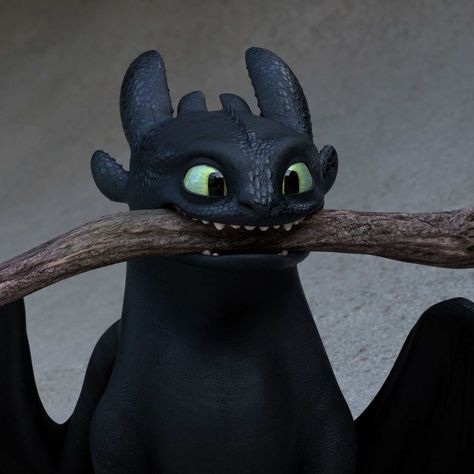 How to Train Your Dragon: The Hidden World Is Curiously Elegiac Hiccup Dragon, Toothless Hiccup, The Hidden World, Train Your Dragon, Hiccup, How To Train, Toothless, How To Train Your Dragon, Httyd