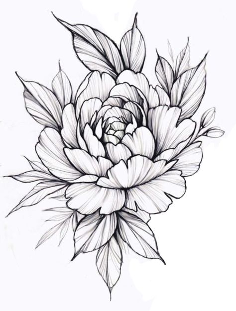 Peony Flower Tattoos, Flower Tattoo Drawings, Muster Tattoos, Floral Tattoo Sleeve, Peonies Tattoo, Tattoo Stencil Outline, Floral Tattoo Design, Minimalist Tattoos, Flower Sketches