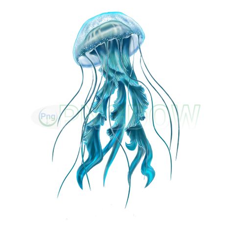 Jellyfish Png, Jelly Fish, Png Transparent Background, Png Transparent, Jellyfish, Game Art, Background Images, Transparent Background, White Background