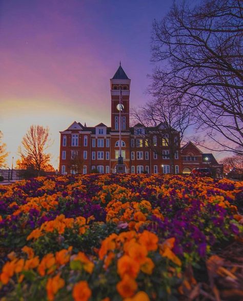 There is just something in these hills! 🌅 . . #Clemson #clemsonuniversity #campus #beautiful #sunset #special #purple #orange #college… Clemson Aesthetic, Clemson Wallpaper, Clemson University Campus, Clemson Art, Clemson Campus, Clemson South Carolina, Clemson Tigers Football, Clemson Fans, Clemson Football