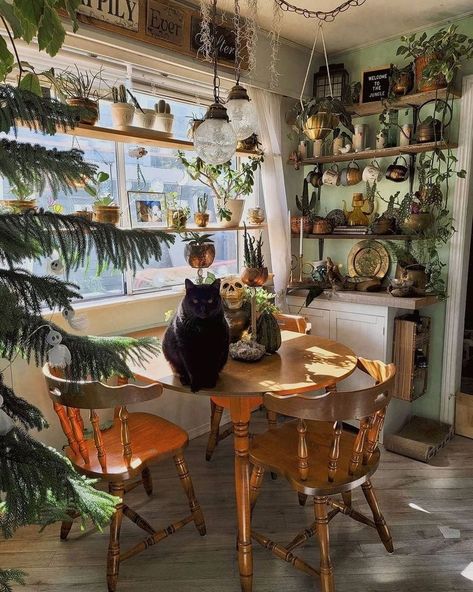 Witchy Kitchen Aesthetic, Witch Cottage Interior, Hippie Apartment Aesthetic, Witchy Living Room, Hippie Apartment, Herb Kitchen, Witchy Cottage, Boho Decorating, Witchy House