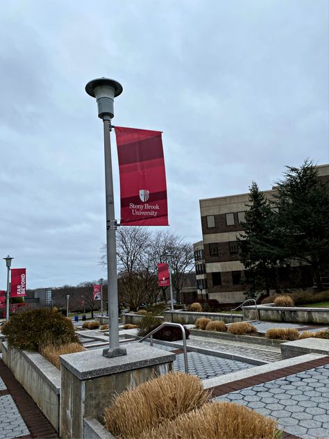 Stony Brook University Aesthetic, Stonybrook University, Stony Brook University, Stony Brook, Dream College, Uni Life, 2024 Vision, Space Needle, College Life