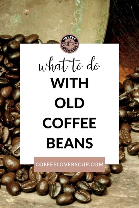 Wondering what to do with old coffee beans? We have a ton of ideas to use up old coffee! From fertilizer to cleaner to arts and crafts and more - we have everything you need to make the most out of your coffee beans! Coffee Bean Bark, Coffee Bean Diy Crafts, Coffee Beans Art Crafts, Coffee Bean Air Freshener Diy, Coffee Bean Art Crafts, Coffee Beans Crafts, Crafts With Coffee Beans, Coffee Bean Uses, Coffee Bean Crafts