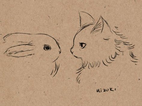 Rabbit And Cat Tattoo, Cat And Rabbit Drawing, Bunny And Cat Tattoo, Bunny Couple Drawing, Cat And Bunny Drawing, Bunny Sketches, Sister Tattoo, Rabbit Drawing, Bunny Tattoos