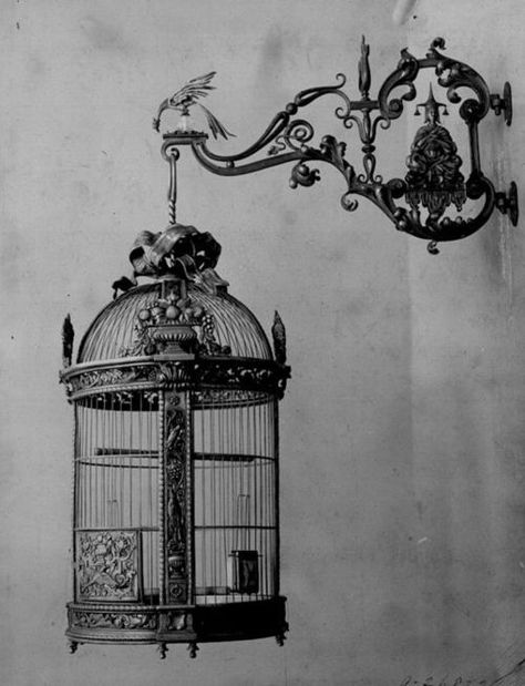 I just love this vintage looking bird cage and the bracket holding it is amazing. I would love to have this but I don't actually like birds in cages. I must say it looks divine empty. Antique Bird Cages, Bird In A Cage, Vintage Films, Bird Cage Decor, Vintage Bird Cage, Peregrine, Bird Cages, Gothic Decor, Gothic Home Decor