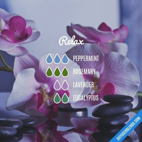 Relax Oil Blend, Relaxation Essential Oil Blend Diffuser, Basic Essential Oil Blends For Diffuser, Defuser Oils, Eo Blends, Relaxing Essential Oils, Essential Oil Combinations, Rosemary Lavender, Doterra Essential Oils Recipes