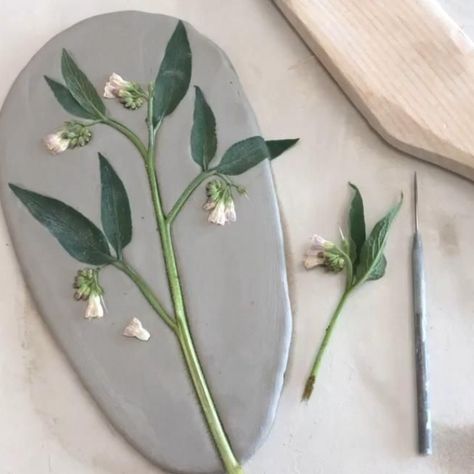 More plant press molds in the works! This is a gorgeous comfrey and it’s curly flower bells from my garden that I will press into clay, and then once-fire in the kiln. This allows me to pull low-relief impressions onto future pottery. Comfrey in clay by Sienna Ceramics #diypottery #ceramic Diy Air Dry Clay, Deco Nature, Diy Ceramic, Tanah Liat, Keramik Design, Ideas For Easter Decorations, Ceramic Wall Art, Cement Crafts, Ideas For Easter