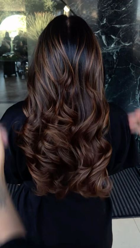 Hair Color For Brown Skin, Balayage Caramel, Highlights Curly Hair, Black Hair Balayage, Brown Hair Inspo, Hair Tint, Hair Color Caramel, Hair Inspiration Long, Brunette Hair With Highlights