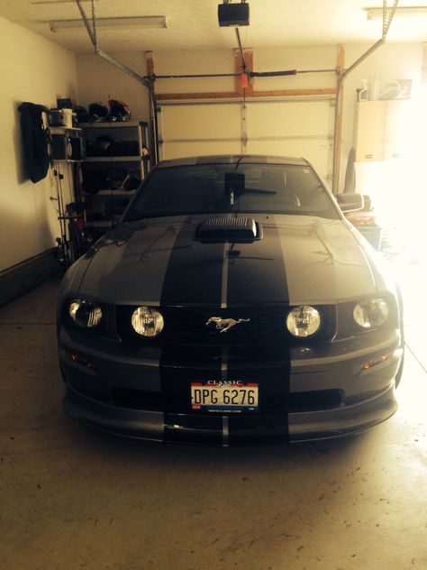 My 06 mustang gt 06 Mustang, Mustang Gt, Mustang, Bmw Car, Bmw, Cars, Vehicles