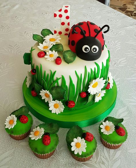 Lady Bug Cake @reginabron Ladybug Cake Decoration, Lady Bird Birthday Cake, Ladybug Themed Cake, Ladybird Cake Ideas, Ladybug Smash Cake Ideas, Birthday Cake Ladybug, Ladybird Birthday Cake, Lady Bird Cake, Lady Buggy Cake