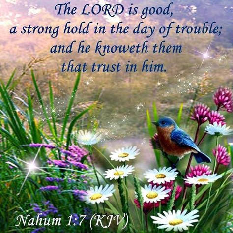 Kjv Bible Quotes, Nahum 1 7, Nahum 1:7, Faith Sayings, King James Bible Verses, Bible Verses Kjv, Trust In Him, Bible Promises, Kjv Bible