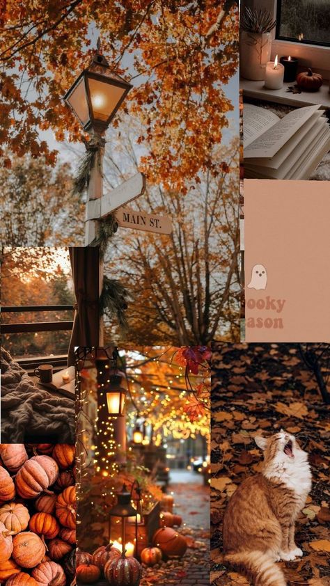 Fall Boards, Autumn Vibes, Fall Vibes, Spooky Season, Wallpaper Iphone, Wallpaper Backgrounds, Mood Board, Iphone Wallpaper, Collage