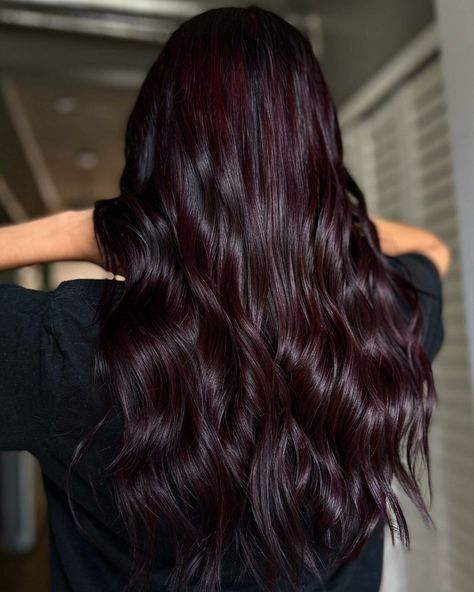 Blackish Red Hair Color, Hair Color Black Cherry, Midnight Cherry Hair Color, Violet Burgundy Hair Color, Cranberry Brown Hair, 4vv Hair Color, Raspberry Chocolate Hair Color, Cherry Black Hair Color Burgundy, Brown Magenta Hair