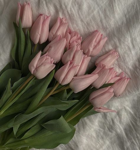 Winter Ashby, Estilo Taylor Swift, Nothing But Flowers, Flower Therapy, Spring Aesthetic, Pink Tulips, Simple Pleasures, Ribbon Slides, Love Flowers