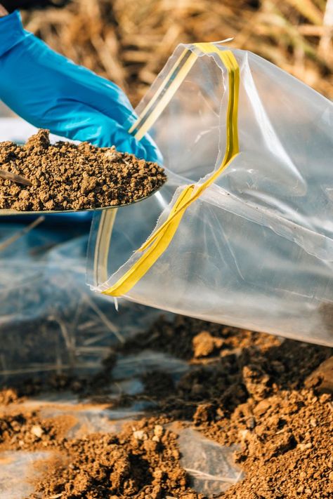 If you live near agricultural land, test your soil to make sure that runoff is not contaminating your soil with excess fertilizers... With soil analysis, you will know how much fertilizer is needed to optimize the growth of your plants! #testyoursoil #soiltestcompany #environment #agriculture Water Testing, Precision Agriculture, Snake Plant Care, Snake Plants, Agricultural Land, Soil Testing, Western Canada, Snake Plant, Potting Soil