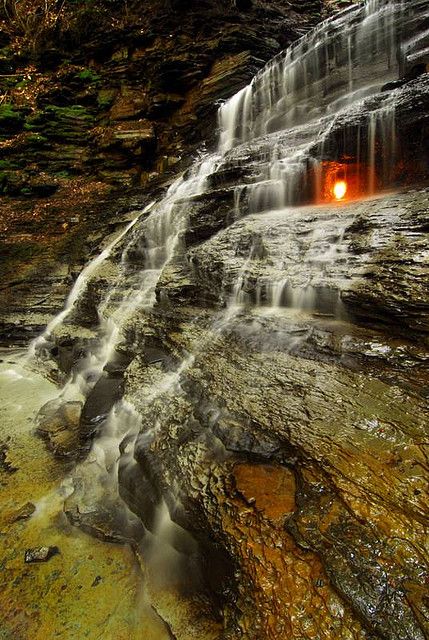 Chestnut Ridge Park,   Orchard Park, NY   *The Eternal Flame* Orchard Park Ny, Fire Tower, Science Park, Daisy Scouts, East Coast Road Trip, Eternal Flame, All I Ever Wanted, Take A Hike, Flea Markets