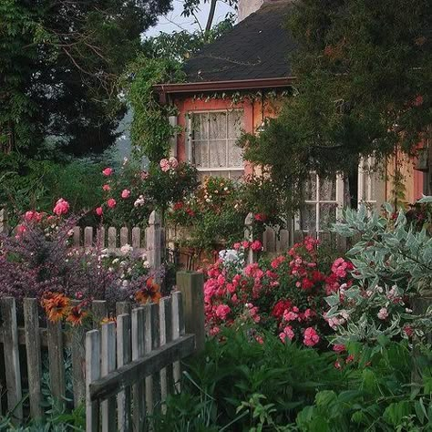 ριитєяєѕт // вяєαииα мαяιє Flower Carpet, Gladioli, Cottagecore Aesthetic, Old Farmhouse, Picket Fence, English Cottage, Garden Cottage, Nature Aesthetic, Shade Garden