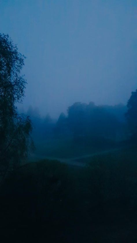 Summer night landscape with fog that has turned the scene blue. Blue Foggy Aesthetic, Foggy Blue Aesthetic, Blue Fog Aesthetic, Blue Hour Forest, Travis Core, Foggy Night Aesthetic, Relaxing Thoughts, Foggy Aesthetic, Darkcore Aesthetic