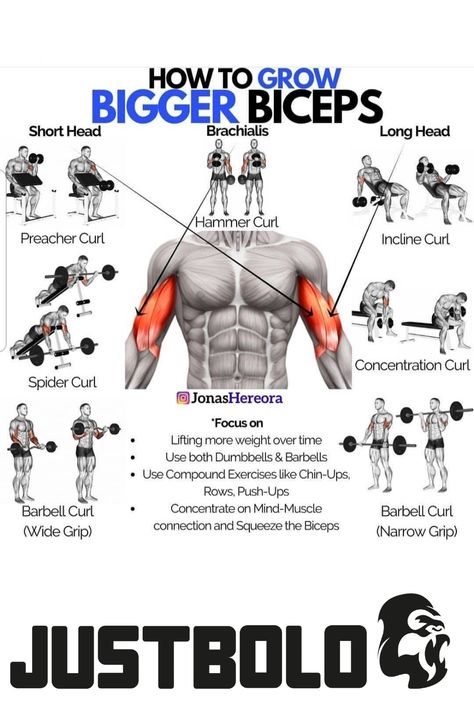 Preacher Curls Dumbbell, Arm Day Workout, Pull Day Workout, Chest Workout At Home, Bicep And Tricep Workout, Workout Gym Routine, Work Out Routines Gym, Bodybuilding Workouts Routines, Bicep Muscle