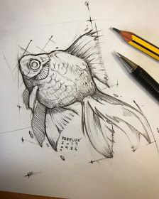 Goldfish by Psdelux Gold Fish Sketch, Fish Sketch, Animal Drawings Sketches, Art Sketches Pencil, Sketch Artist, Animal Illustrations, Fish Drawings, Gold Fish, Pencil Art Drawings