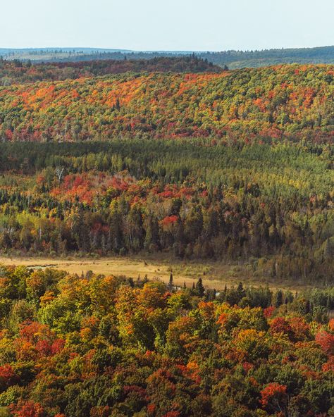 The colors are changing in Northern Minnesota 🍁🍂 Minnesota Landscape, Minnesota Landscaping, Northern Minnesota, Minnesota