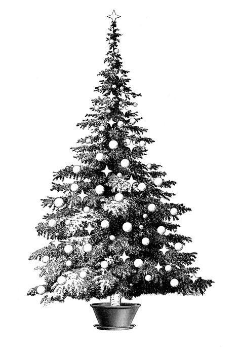 A pine tree in a pot or Christmas tree stand. It is decorated with balls and four-pointed stars. Might be used in a before-and-after picture with its corresponding undecorated version. Black And White Christmas Pictures, Christmas Art Black And White, Christmas Ink Drawing, White Pine Tree Drawing, Winter Tree Sketch, Tree In Winter Drawing, Christmas Tree Star Drawing, Pine Tree Pen Drawing, Christmas Handcraft