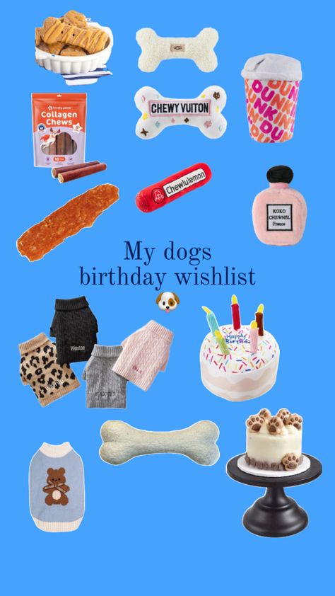 Preppy Dog, Dog Outfits, Cute Preppy Outfits, Birthday Wishlist, Dog Birthday, Preppy Outfits, Dog Clothes, Birthday