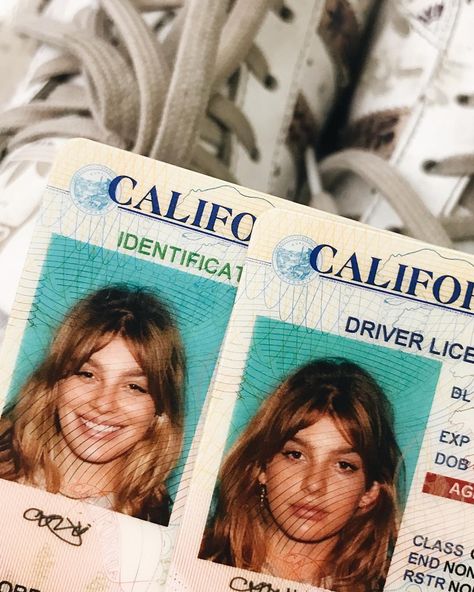 Camila Morrone passport photo (@camimorrone) on Instagram: “both my moods. there's no in between” Miss Independent, Passport Pictures, Camila Morrone, Passport Photo, Cali Girl, Trust Fund, Valley Girls, Malibu Barbie, City Of Angels