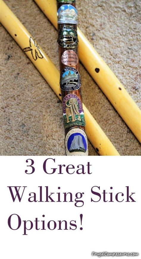 Hiking Sticks Diy, Truck Cap Camper, Grand Portage State Park, Sticks Diy, Hiking Club, Truck Caps, Rock Hunting, Snow Melting, Hiking Sticks