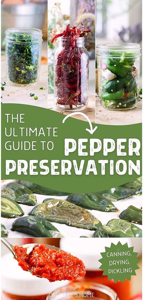 Discover Preserving Vegetables From the Garden with the ultimate guide to pepper preservation. Peppers come in many shapes, colors, and flavors. Learn various methods to preserve your harvest, including canning, fermenting, dehydrating, and pickling. Enjoy your favorite hot, sweet, and spicy peppers year-round. Find more preserving food recipes, dehydrated vegetable recipes, and vegetable gardening at ladyleeshome.com. Preserving Peppers, Canning Hot Peppers, Low Sugar Jam Recipes, Canning Peppers, Preserving Vegetables, Orange Sweet Potatoes, Dehydrated Vegetables, Jalapeno Recipes, Kinds Of Vegetables