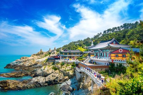 Haedong yonggungsa temple and haeundae s... | Free Photo #Freepik #freephoto Kapal Feri, Busan Korea, Chuncheon, Busan South Korea, Gyeongju, South Korea Travel, Lake Trip, Suwon, Korea Travel